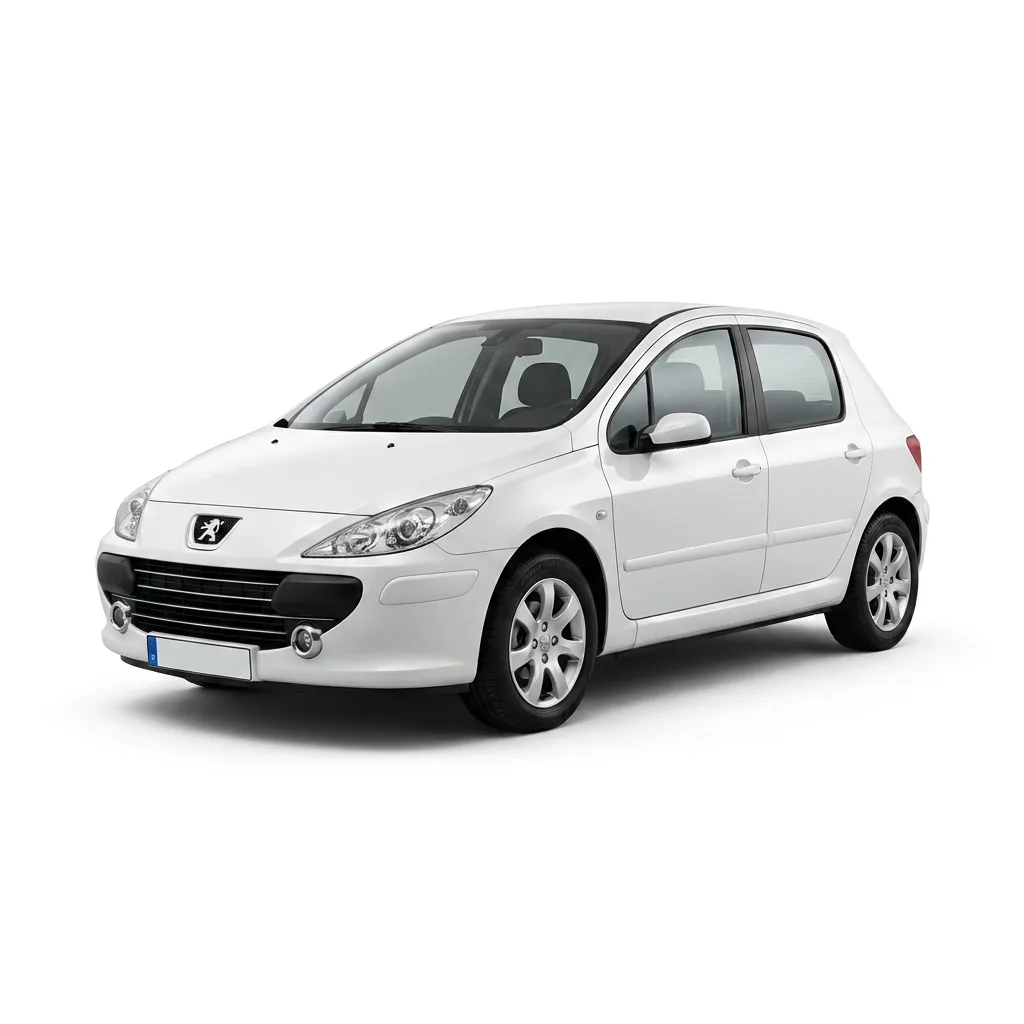 Peugeot servis Beograd | Auto delovi za Peugeot 307