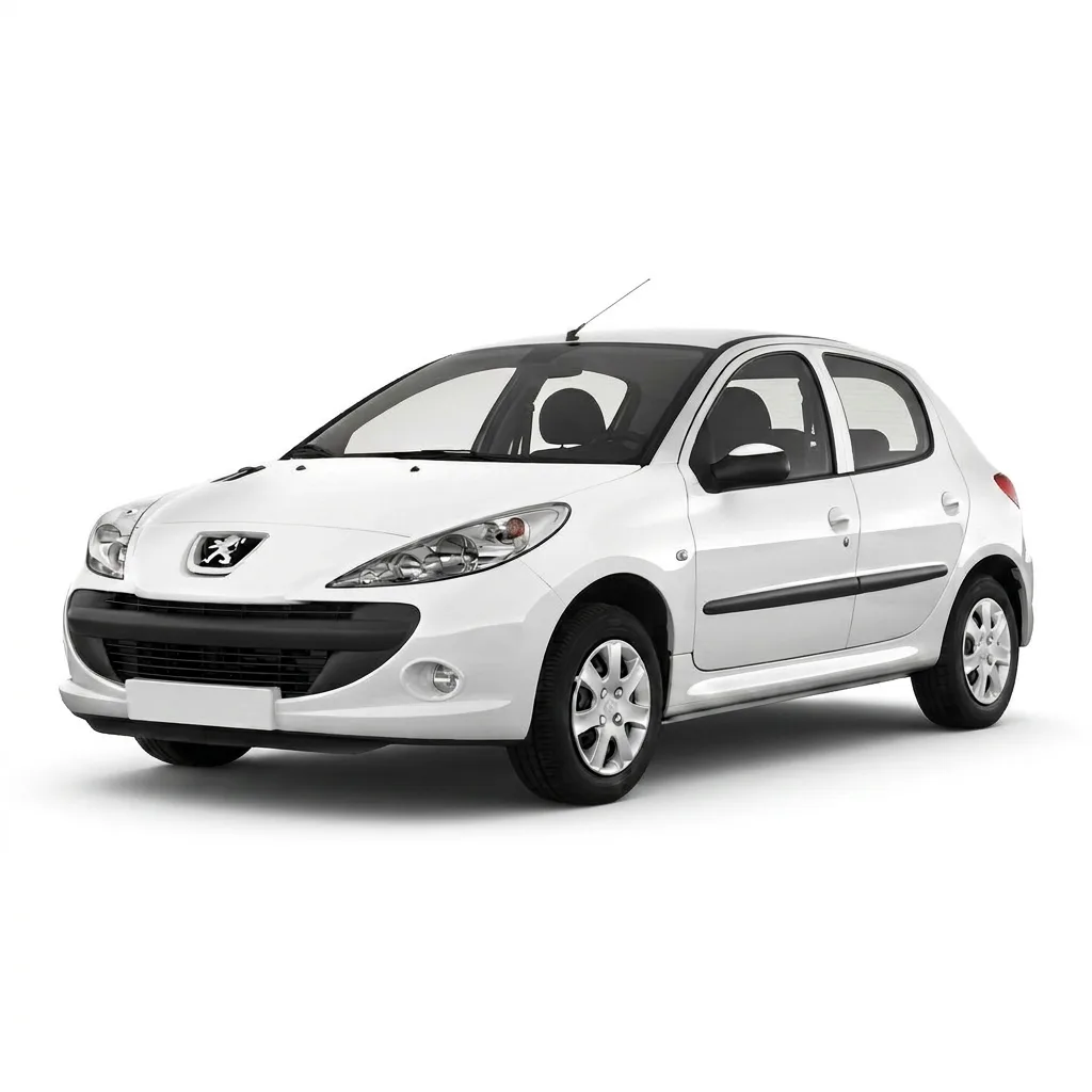 Peugeot servis Beograd | Auto servis za Peugeot 206