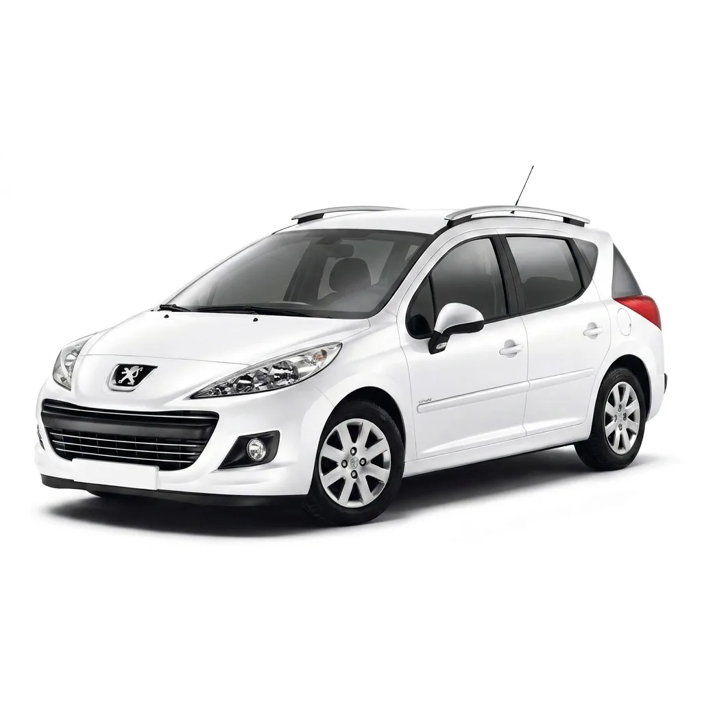 Peugeot servis Beograd | Auto servis za Peugeot 207 SW