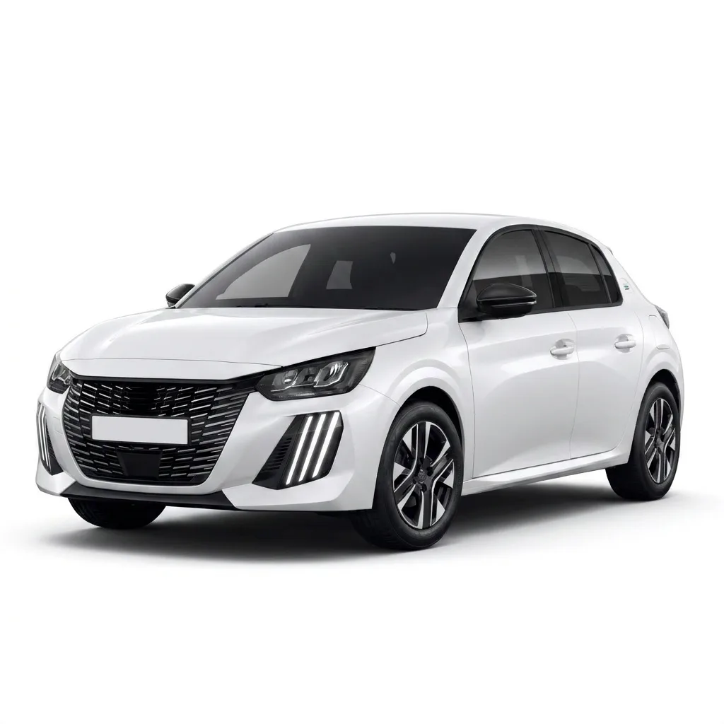 Peugeot servis Beograd | Auto servis za Peugeot e-208