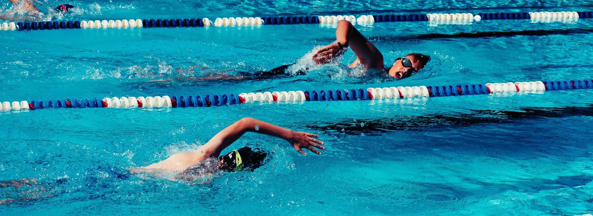 Royal Peugeot servis Beograd | Swim Way škola plivanja